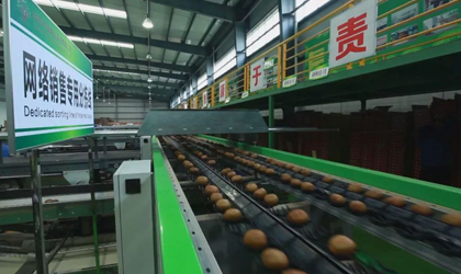 陕西眉县3.3万吨共享猕猴桃气调冷库试运营