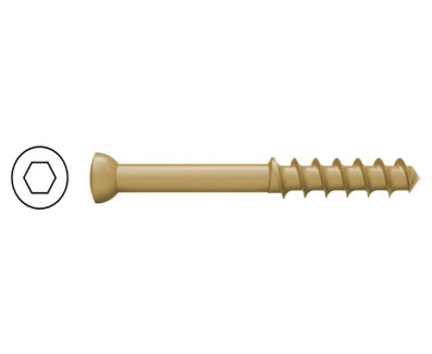 直径 6.5mm 松质骨螺钉 ( 半牙 )