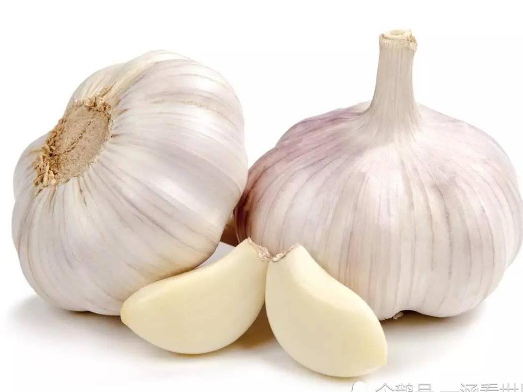 What is the difference between white peel garlic and purple peel garlic