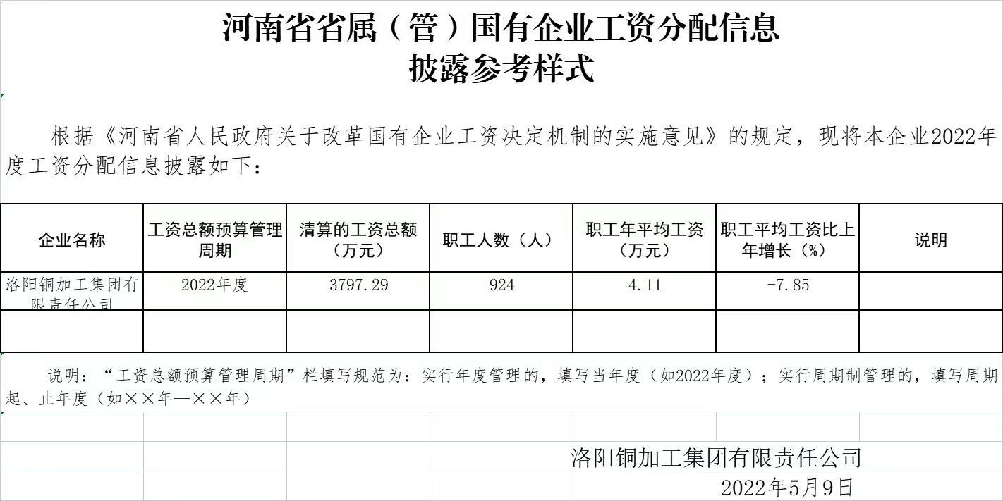 河南省省属（管）国有企业工资分配信息披露参考样式