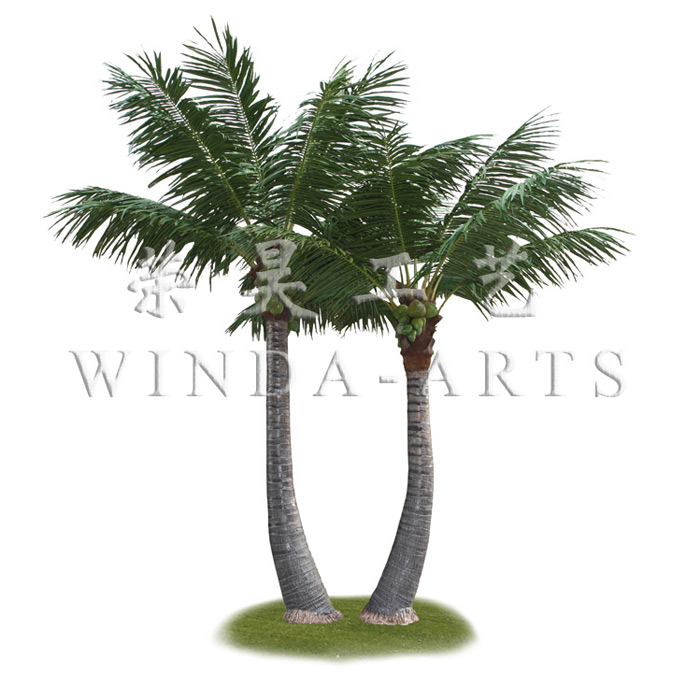 New coconut tree