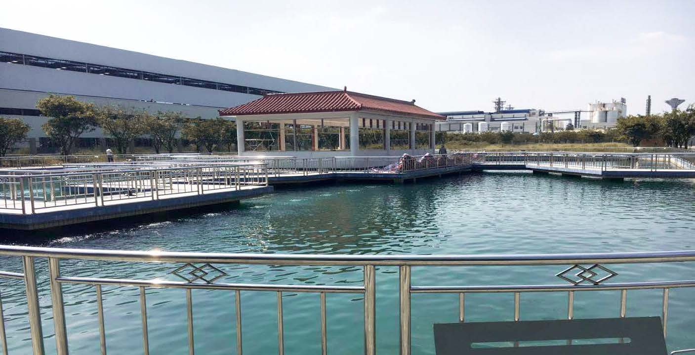 景观水工程实例-青白江上市公司产业园观赏鱼池