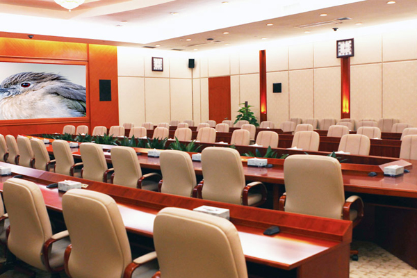 Government conference room sound reinforcement system 