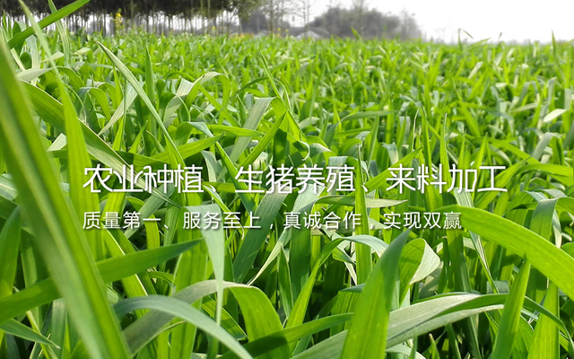 广西华盛集团廖平糖业有限责任公司