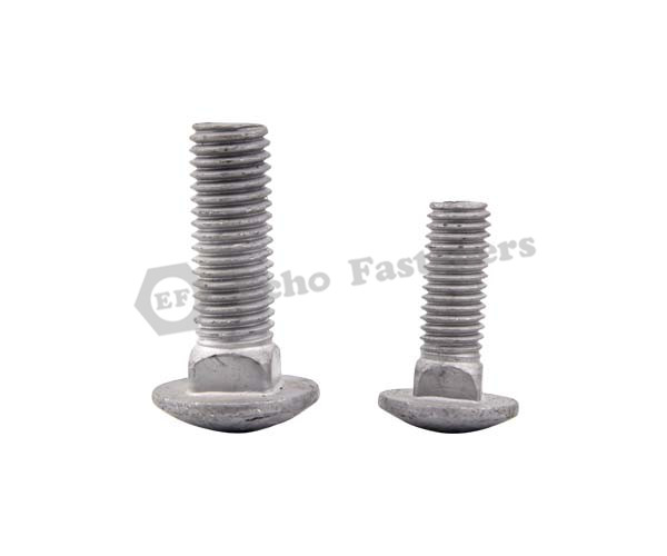HDG Carriage Bolt