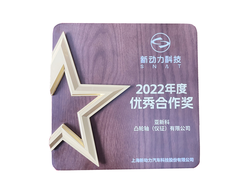 2022年上海新动力优秀合作奖