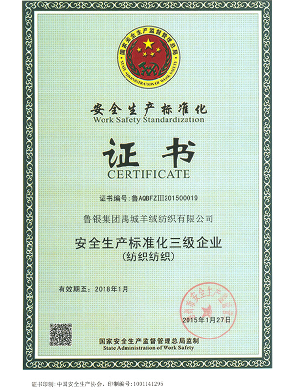 Certificate of safety production standardization