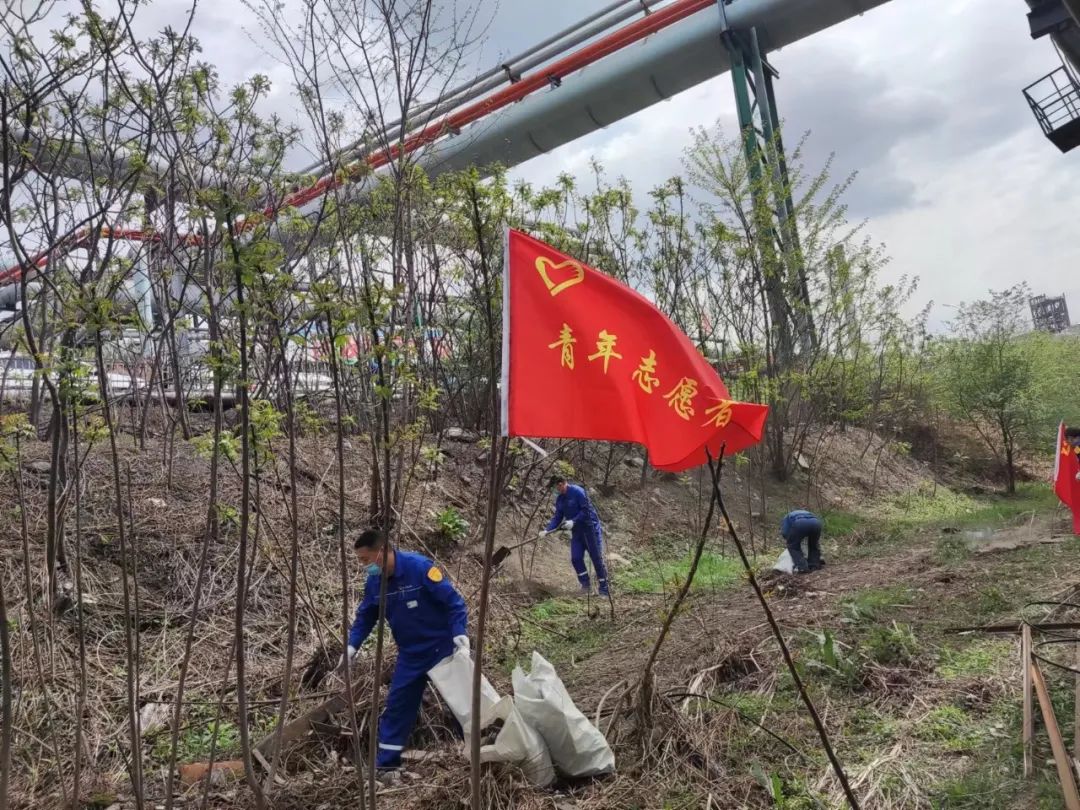 Contribute to the construction of "AAA" scenic garden-style factories in Beiying