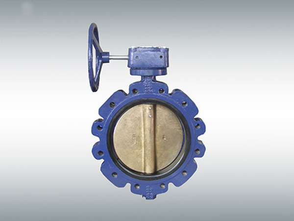 LT German standard hard seat butterfly valve with pin
