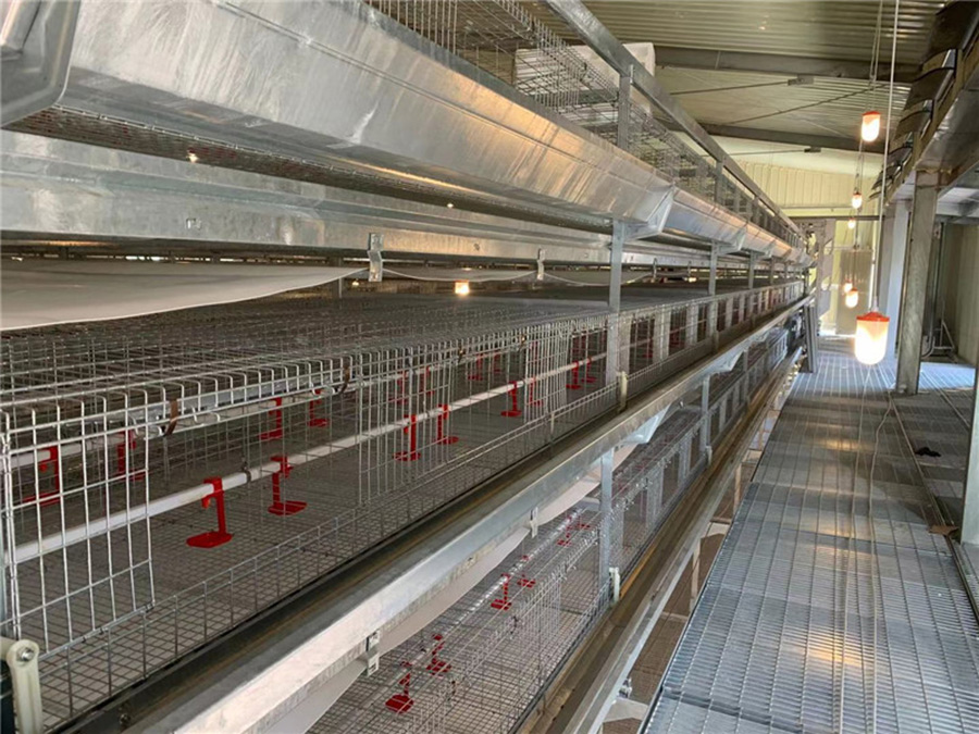 六层层叠式自动化养鸡设备