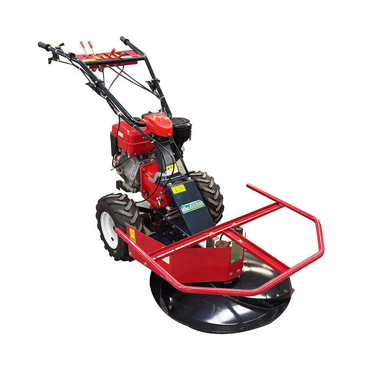 Small lawn mower