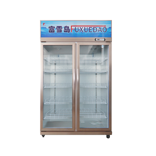 Double Door Showcase Cloor with Dynamic Cooling System