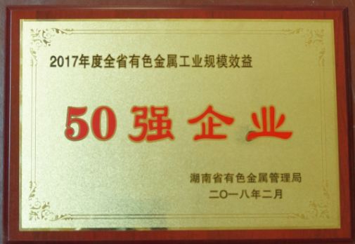 湖南省トップ50企業