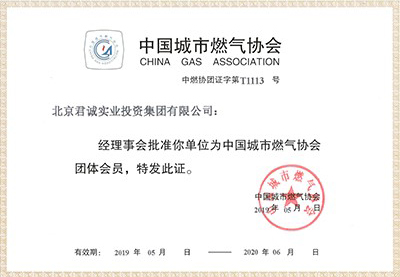 Council member certificate of city gas association