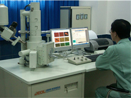 Imported Scanning Electron Microscope