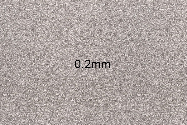 不锈钢丸（0.2mm）