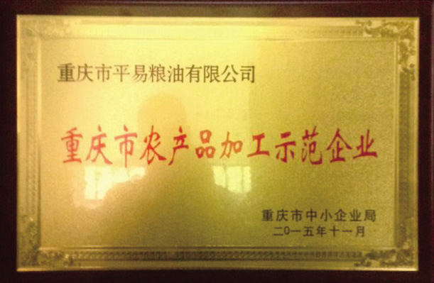 重庆市农副产品加工示范企业