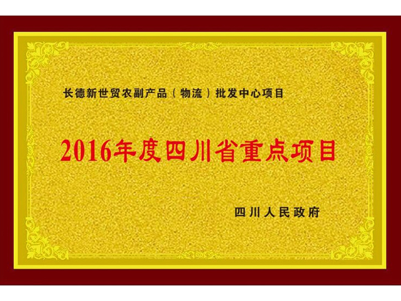 2016年度四川省重点项目