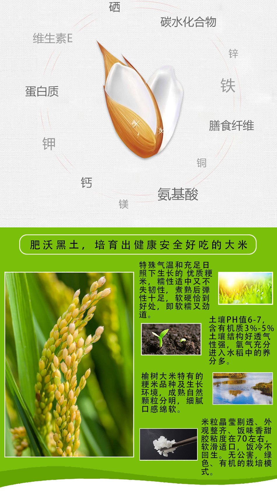  吉林胜金米业有限公司：现代化管理水稻才是企业发展正确方向
