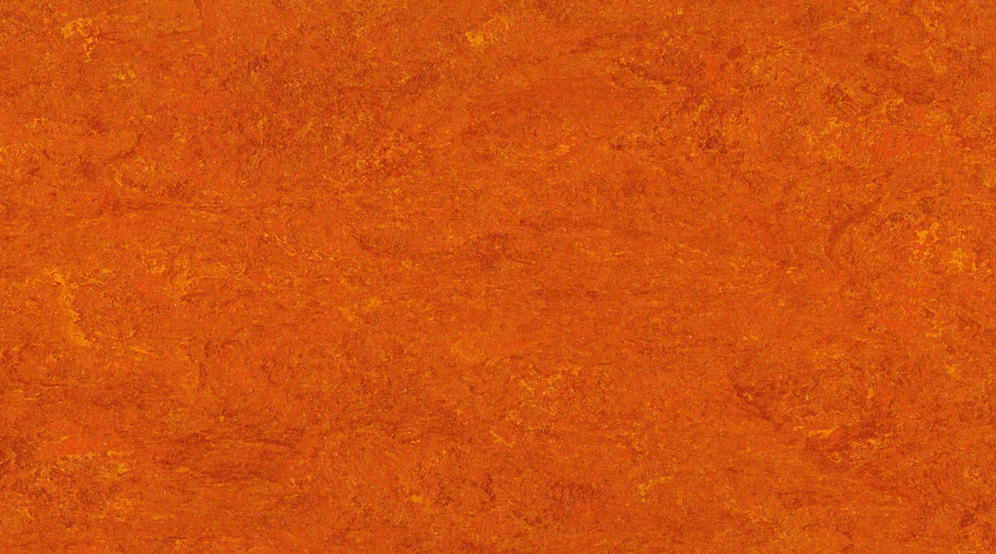 0117 Mandarin Orange