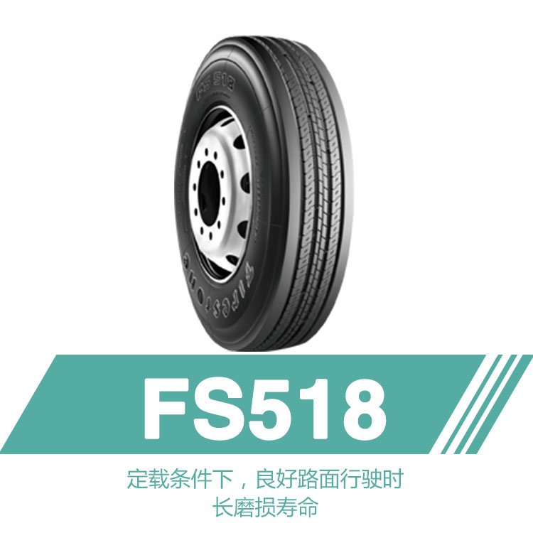 FS518