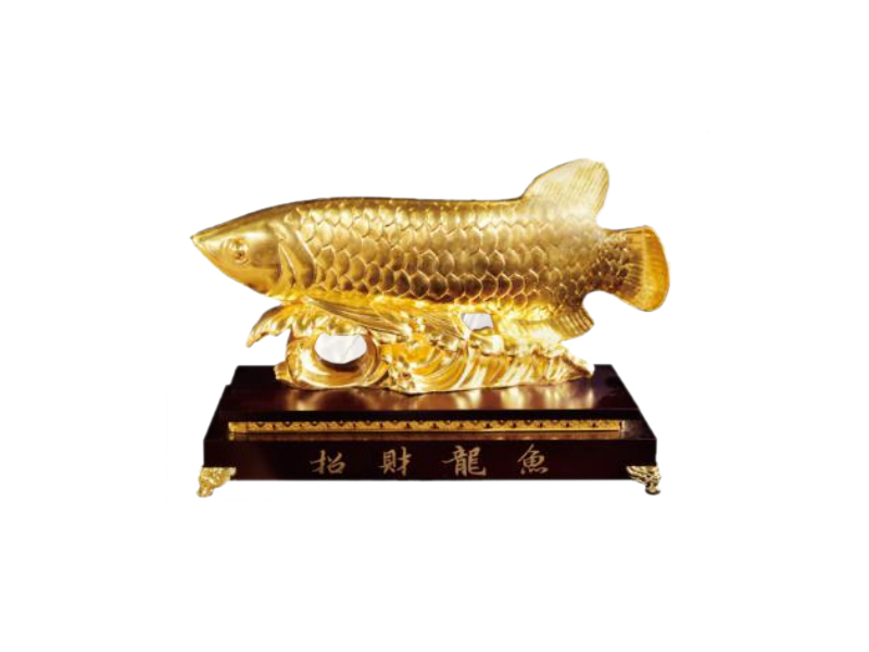 Rich and abundant dragon-fish (large, medium and small)