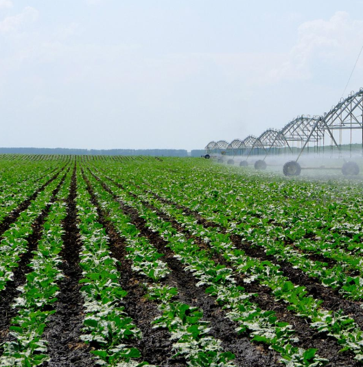 奉化市農業生產資料有限公司是經營化肥、農藥、農膜的專業公司