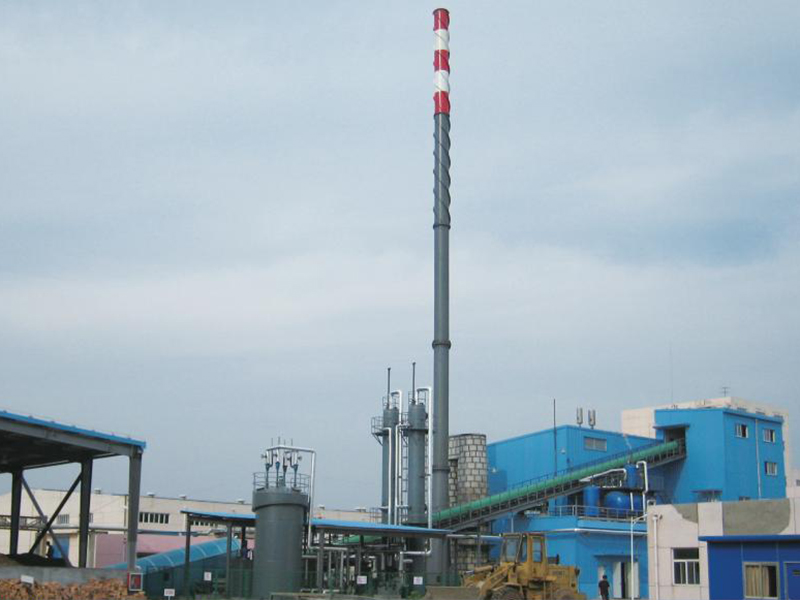 Solid waste biogas co-firing boiler in paper industry