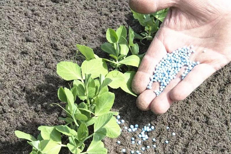 雙酶雙螯合肥料在肥料發展中具有重要意義