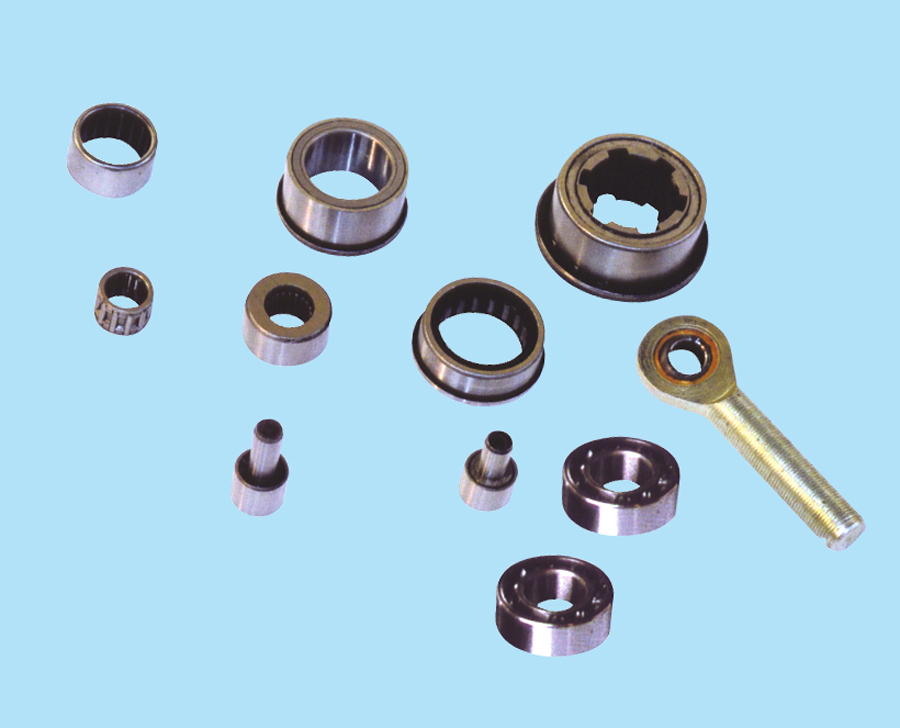 Electrical special bearings