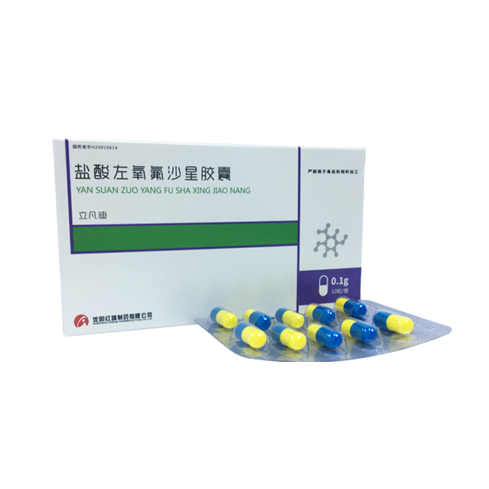  Levofloxacin Hydrochloride Capsules