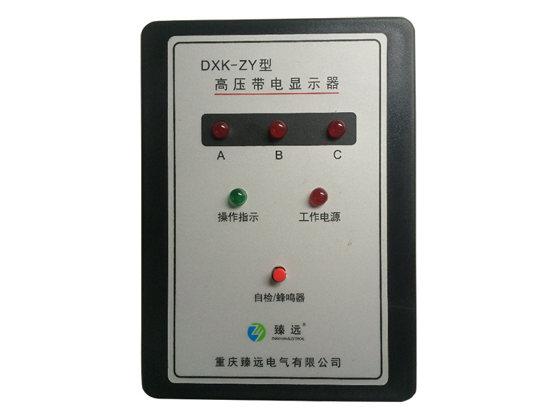 DXK-ZY高压带电显示器1