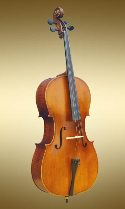 大提琴学生模型