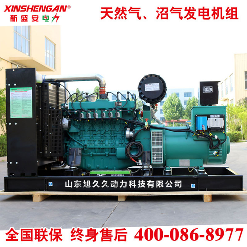 300KW燃气发电机组 天然气 沼气 瓦斯气 生物质气 发电机组