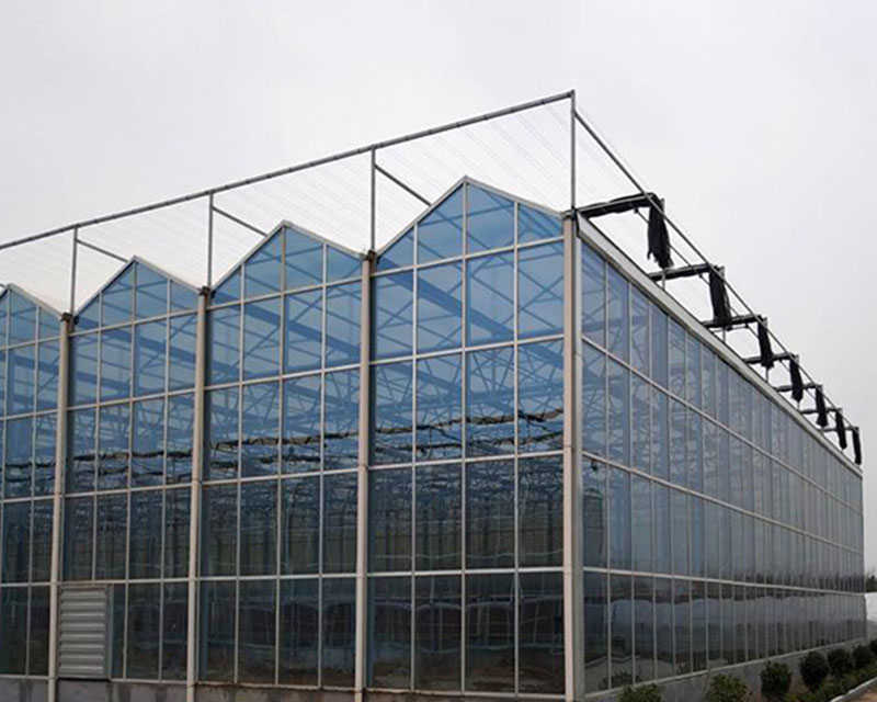 現代農業溫室大棚