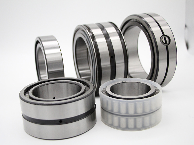 Double Row Full Complement Cylindrical Roller Bearing