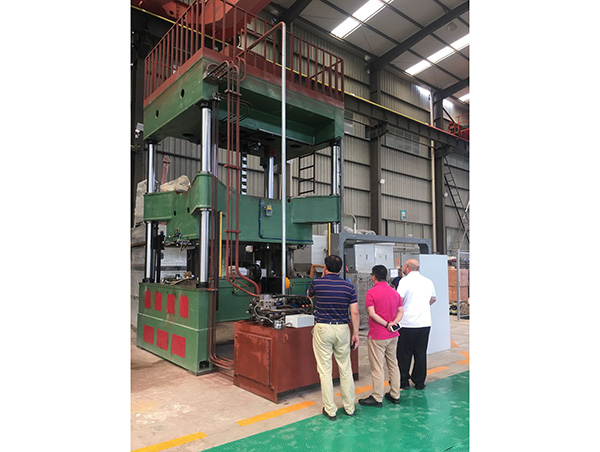 Specialized Hydraulic Press for Refrigerator Inner Liner Molding 