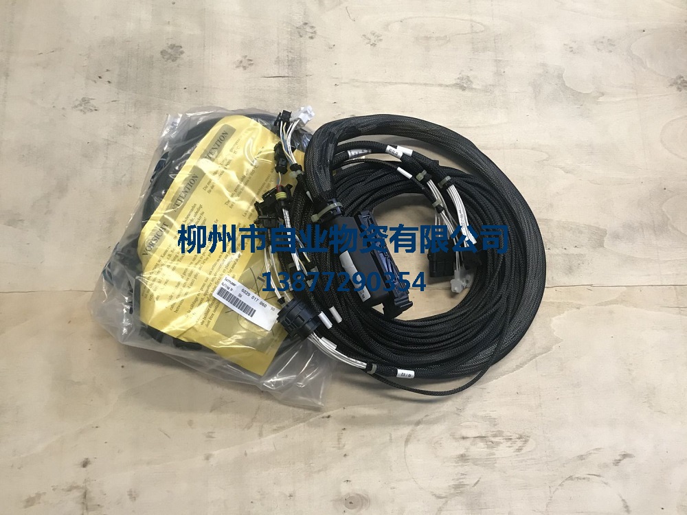 SP161130，ZF.6029017060 連接電纜