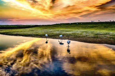 江西鄱阳湖湿地保护与恢复国家长期科研基地获批成立