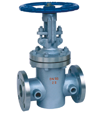 Insulation gate valve BZ41Y-16~25P/R