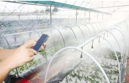 智能灌溉在智慧农业里的应用