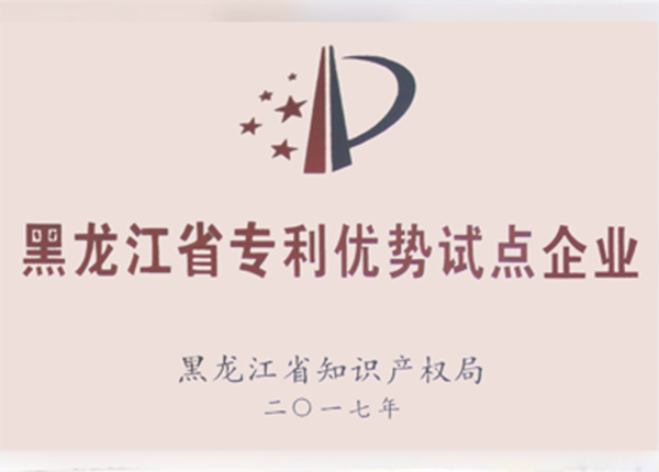 Heilongjiang Province Patent Advantage Pilot Enterprise