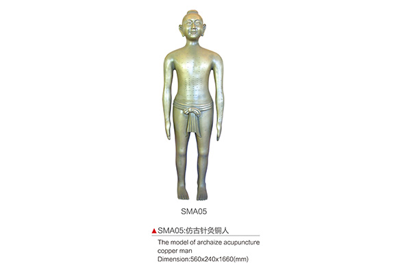 SMA05 The model of archaize acupuncture copper man