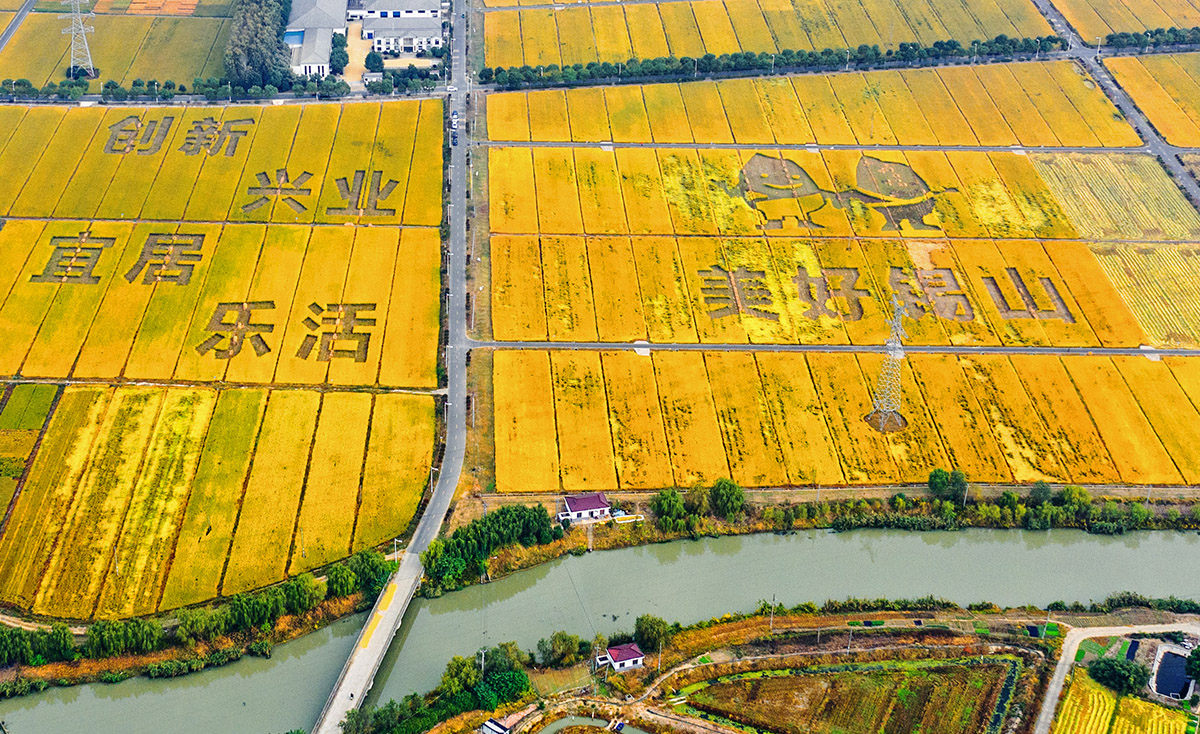Jiangsu Wuxi Xishan Taiwan Farmers Pioneer Park