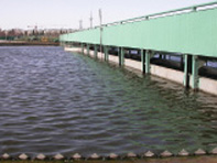 The waterproof and impervious project of the sewage treatment plant of Huainan City