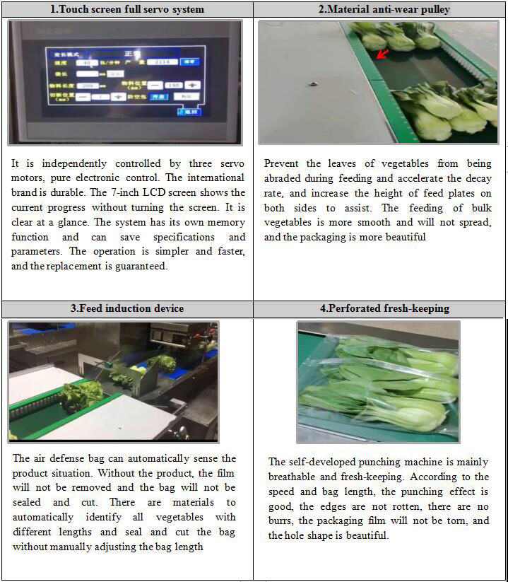 Specification for use of pillow type vegetable packing machine