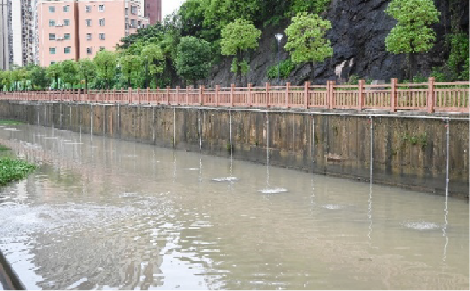 惠州某河道长治久清维护项目信息