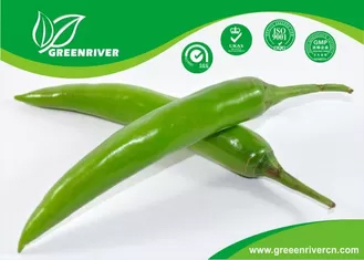 Hybrid type Green pepper seeds F1 Fruit , 20-23 cm length