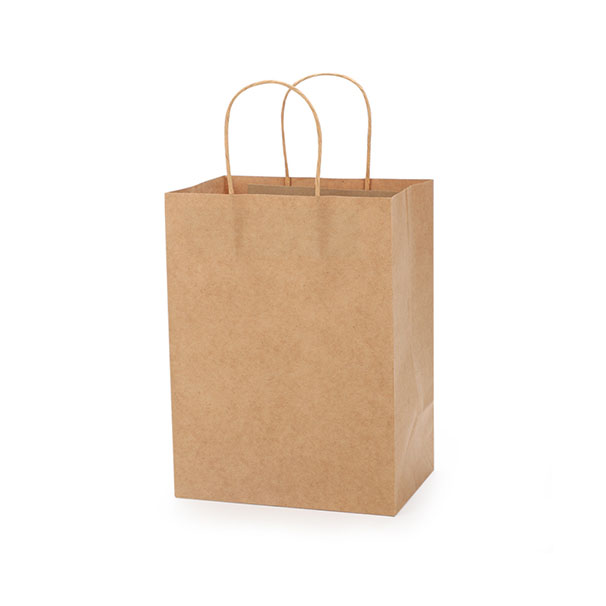 Paper Bag With Twisted Handle