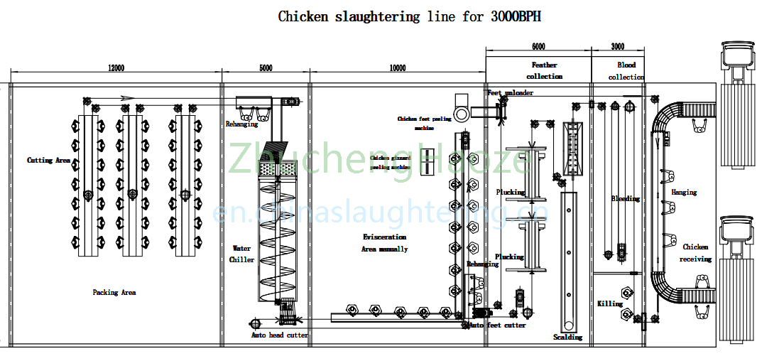 3000 BPH Chicken Slaughter Line General Layout